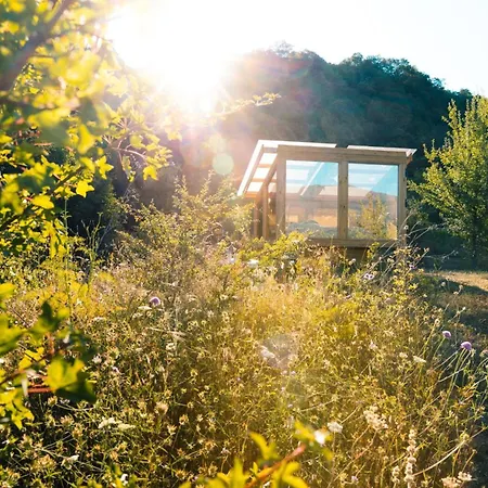 Kamp alanı Wild Orchard Farm San Costantino Albanese